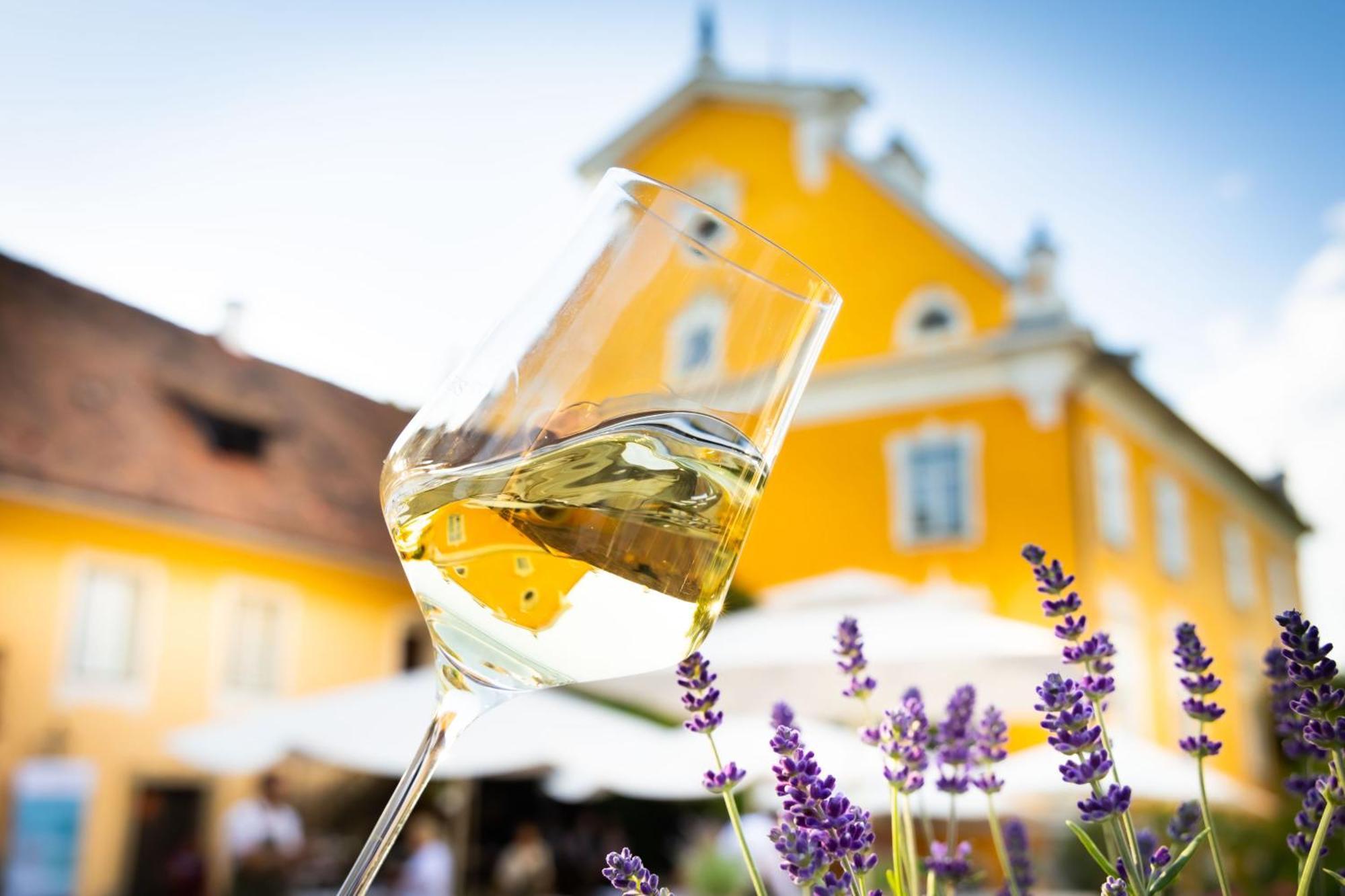 Schloss Gamlitz Eksteriør bilde